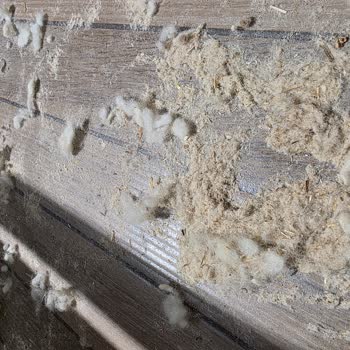 Kirli Yastık İç Dolgu Ve Sağlık Riski İçin Ücretsiz Değişim Talebi