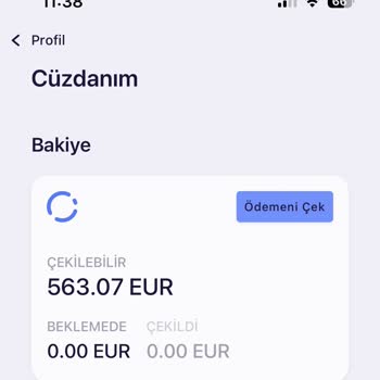Cüzdanda Kalan 563,07 Euro’nun Ödeme İçin Kullanılamaması