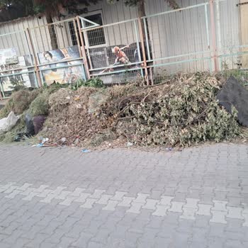 Cami Mahallesinde Çöp Toplanmaması Ve Koku Sorunu Halk Sağlığını Tehdit Ediyor