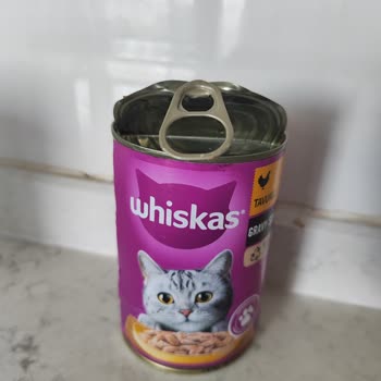 Whiskas Kedi Mamalarında Sinek Sorunu