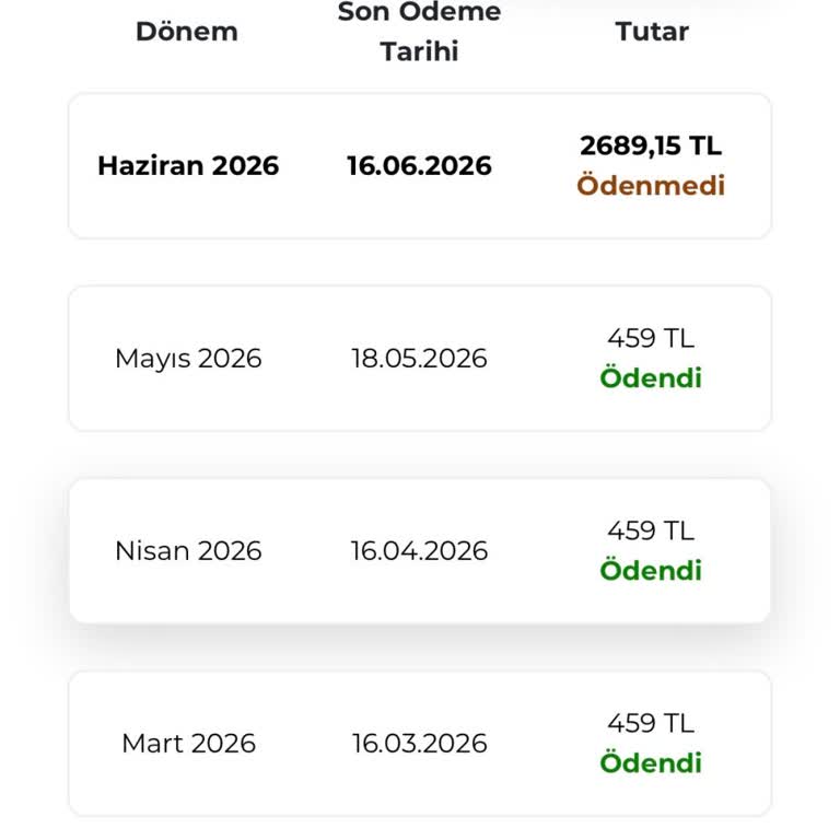 Faturada 2.689 TL Hatalı Tutar İçin Düzeltme Talebi
