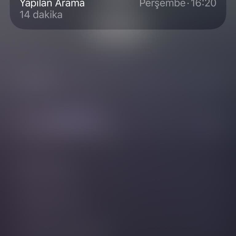 Teslimat Tarihi İhlali Ve Kargo Görevlisinin Kaba Üslubu