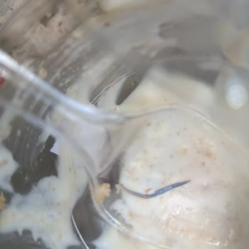 Belpa Cafe'de Çilekli Magnolia’da Mavi Karton Boğazıma Kaçtı: Hijyen Skandalı