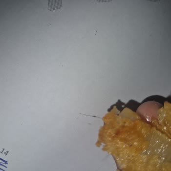 Yemeksepeti'nde Gıda Güvenliği İhlali: Kıl İçeren Tavuk Ve Yetersiz Çözüm