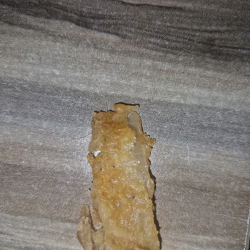 Yemeksepeti'nde Gıda Güvenliği İhlali: Kıl İçeren Tavuk Ve Yetersiz Çözüm