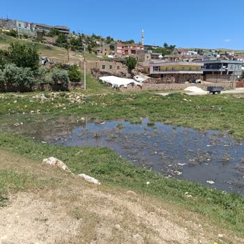 Kanalizasyon Tıkanıklığı Ve Gölet Oluşumu Sağlık Riskine Dönüştü