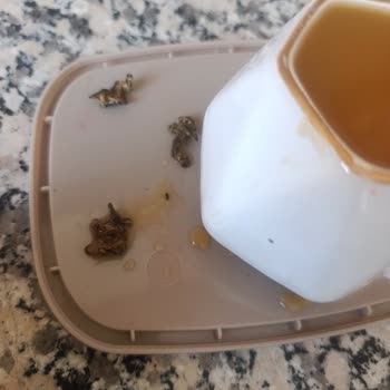 Tamek Şeftali Suyunda Küflü Siyah Cisimler Ve Çocuk Sağlığı Riski