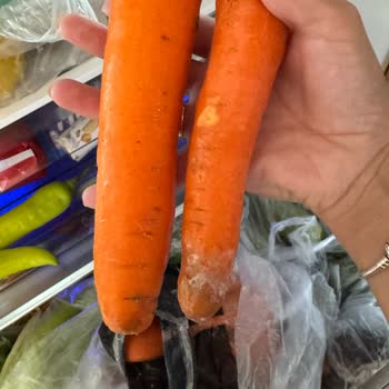 Migros Sanal Market Çürük Ürünler Nedeniyle Sağlık Endişesi Ve Yanıtsız Şikayet