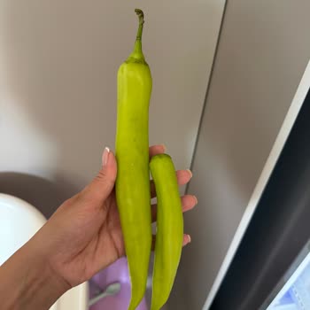 Migros Sanal Market Çürük Ürünler Nedeniyle Sağlık Endişesi Ve Yanıtsız Şikayet