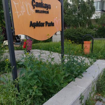 Aşıklar Parkı Ve 214. Sokak'ta Çim Kesilmiyor, Temizlik Ve Sinek Sorunu