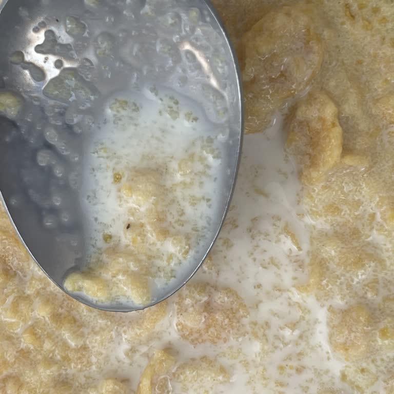Corn Flakes Paketi Açıldığında Siyah Kurtlar Görüldü
