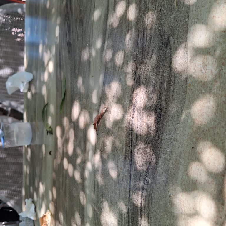 Her Şey Dahil Olmadı: Tatilbudur Ve Doramar Otelinde Büyük Hayal Kırıklığı