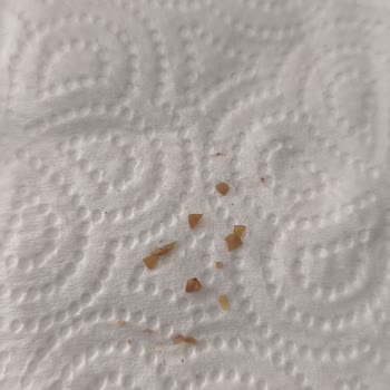 Mirvari Kahvesinde Cam Ve Plastik Parçacıkları Tespit Edildi