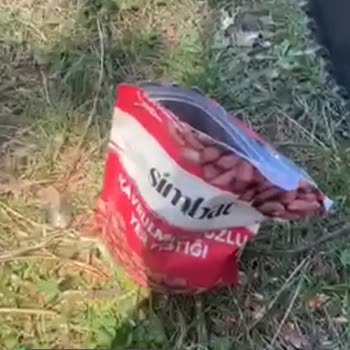 Simbat Fıstık Çürük Çıktı!