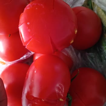 Çürük Ürün Teslimatı Ve İade Sorunu