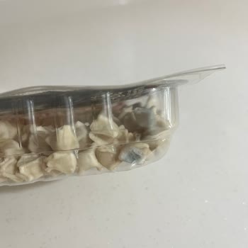 City Gross Şubesinden Aldığım Mantıdaki Küf, Sağlık Riski Ve Güven Kaybı