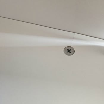 Lacivert Mobilya'dan Garantili Çocuk Dolabındaki Çatlaklar İçin Yardım Alınamaması