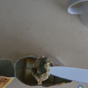 Cappy Şeftali Suyunda Küf Ve Beyaz Maddeler: Son Kullanma Tarihi Geçmemiş Olmasına Rağmen
