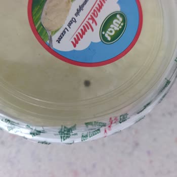 Açılmamış Yoğurtta Küf Ve Sağlık Endişesi