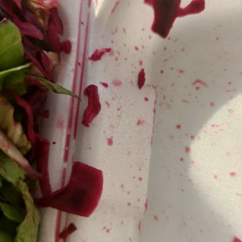 Hijyen Ve Kalite Sorunu Nedeniyle İskenderun Oktay Usta Kebap’tan Ücret İadesi Talebi