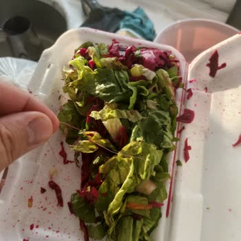 Hijyen Ve Kalite Sorunu Nedeniyle İskenderun Oktay Usta Kebap’tan Ücret İadesi Talebi