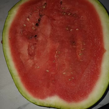 Karpuz Çürük, İade Ve Değişim Reddedildi