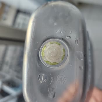 Brita Style XL Su Arıtma Sürahisinde Yosunlaşma Sorunu