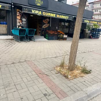 Ekmekte Hamam Böceği Görüldü: Hijyen Denetimi Gerekiyor