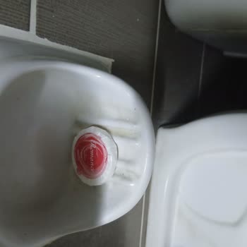Yıldız Otel’de Hijyen Ve Gürültü Sorunları, Obilet’in Çözüm Sunamaması