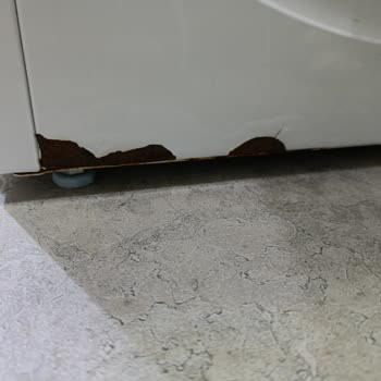Yeni Siemens Çamaşır Makinesinde 6 Ayda Paslanma Ve Yetersiz Servis