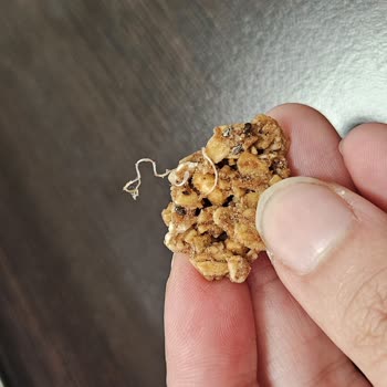 Weefood Granola Paketi İçinde Yabancı Cisim Bulunması