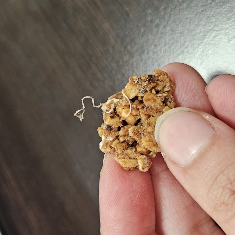 Weefood Granola Paketi İçinde Yabancı Cisim Bulunması