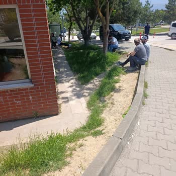 Eki aç
