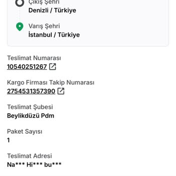 Resmi Evrak Gibi Gösterilen Gönderinin Teslim Edilememesi Ve Kurye İlgisizliği
