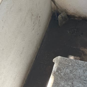 İSKİ’nin Yanıt Vermemesi Ve Apartmanda Pis Su Basması Sorunu