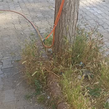Vodafone Net Kesintisi: 25 Gün Süren Çözümsüz İnternet Sorunu