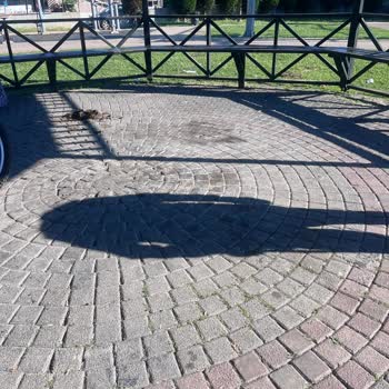 Ümraniye Hekimbaşı Parkında Hayvan Kirliliği Ve Çocuk Sağlığı Tehlikesi