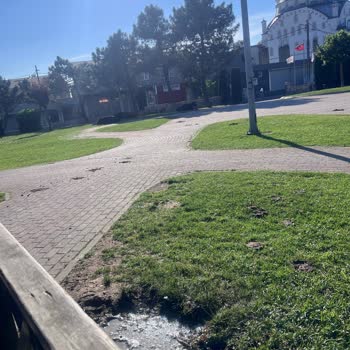 Ümraniye Hekimbaşı Parkında Hayvan Kirliliği Ve Çocuk Sağlığı Tehlikesi