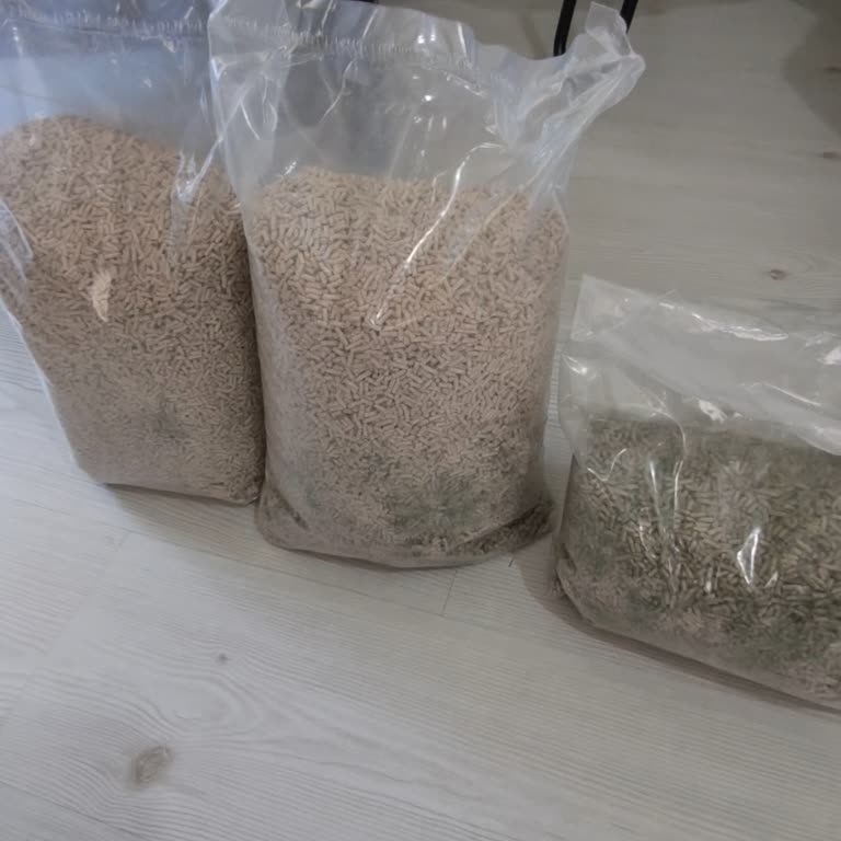 Tofucat Küflenmiş Kedi Kumu!