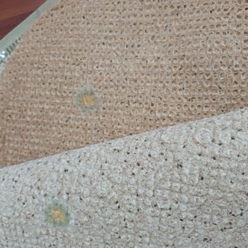 Küflü Lavash Ürünleri İki Kez Gönderildi, Sağlık Riski Ve Tam İade Talebi
