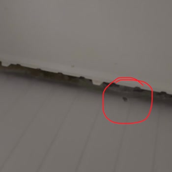 Teknik Servis Hatası Nedeniyle Buzdolabımda Oluşan Hasar Ve Garanti Değişim Reddi