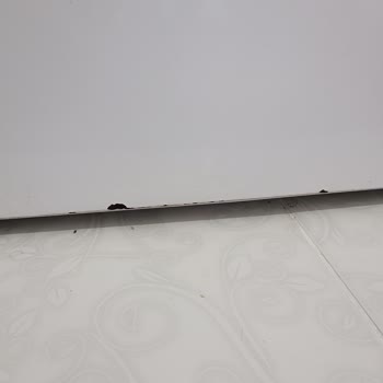 Vestel Buzdolabımda Boya Kabarması Ve Dökülme Sorunu