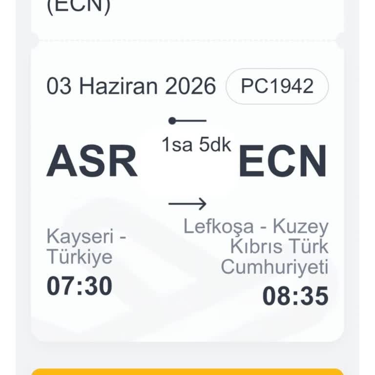 Kayseri-Lefkoşa Uçuşundaki Gecikme Ve Değişiklikler Nedeniyle Sağlık Ve Maddi Mağduriyet