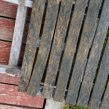 Koçtaş Vernik Renk Uyuşmazlığı Bungalow Kira Gelirini Zedeliyor