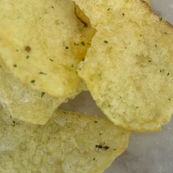 Şok Market Manisa Akhisar Şubesinde Lays Cipsinde Böcek Görüldü Hijyen Endişesi