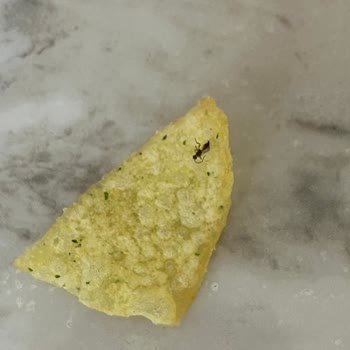 Şok Market Manisa Akhisar Şubesinde Lays Cipsinde Böcek Görüldü Hijyen Endişesi