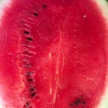 Kartal Sümbül Şok Market Şubesinde Çürük Karpuz Satışı Ve Çözüm Sunulmaması