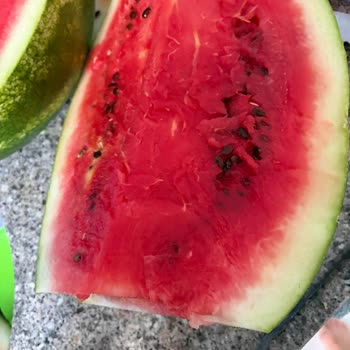 Kartal Sümbül Şok Market Şubesinde Çürük Karpuz Satışı Ve Çözüm Sunulmaması