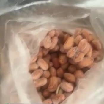 Egeden Kadın Dayanışması, Bayat Sert Barbunya