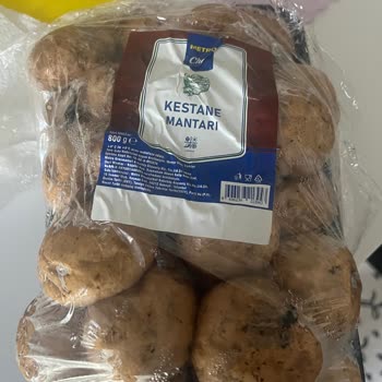 İzmit Metro Market’te Satılan Mantarlar Küflenmiş, Gıda Güvenliği Şüphe Altında